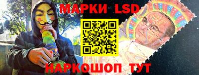 дурь Сланцы