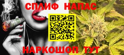 дживик Славгород