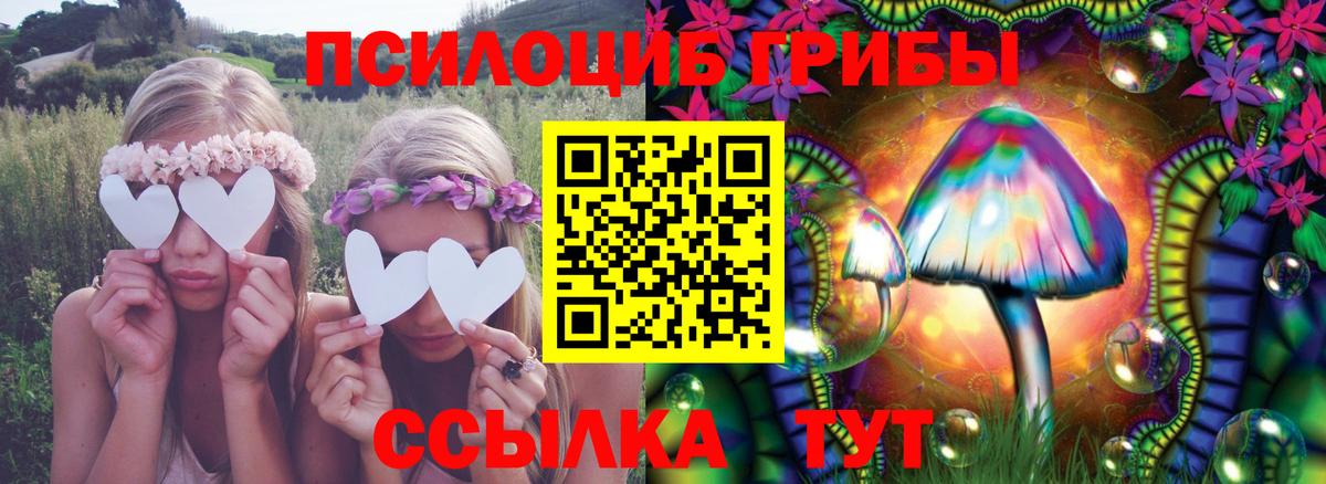 Галлюциногенные грибы Cubensis Павловский Посад